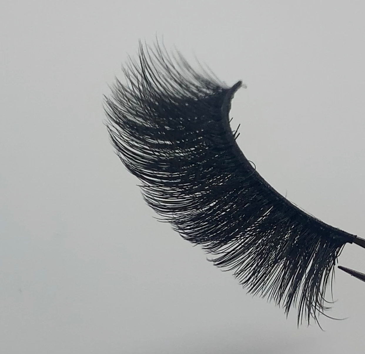 Minkd Lash Dump (Dump’d)